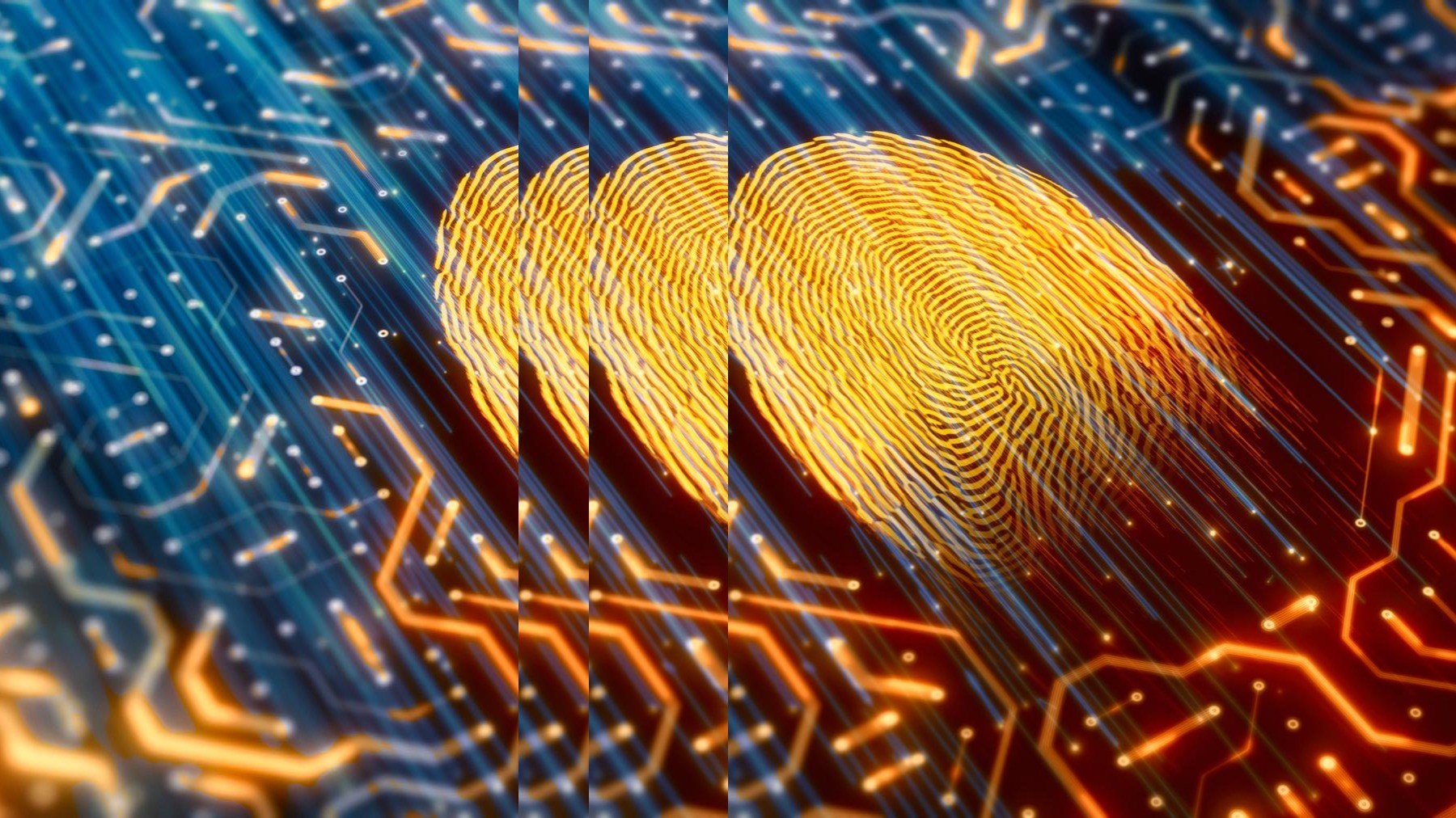 Digital identity scanner with pulse